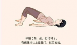 提肛运动视频教程,轻松掌握居家塑形秘籍